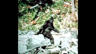 Interviews that describe the details of the Bigfoot hoax, Part 2