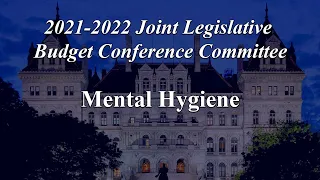 NYS Legislature Joint Budget Subcommittee on Mental Hygiene - 03/17/21