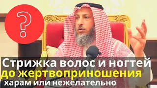 Стрижка волос и ногтей до жертвоприношения (Курбан байрам)