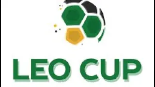 Всеукраїнський турнір Leo CUP 2024