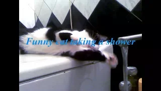 Funny cat taking a shower. / Кошка принимает душ.