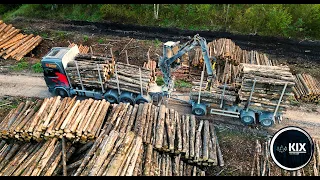 Aspen&Alder loading for fiberboard factory