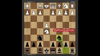 Magical Line of Stafford Gambit | Double Piece Sacrifice (Jonathan Schrantz will be proud)