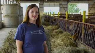 Virtual Dairy Farm Tour