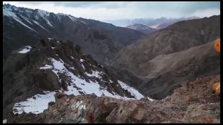 mother mountain goat protect her baby form snow