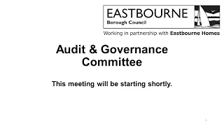 Audit and Governance Committee - 3 March 2021