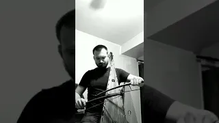 "Round Canon" performed on a bass bowed psaltery