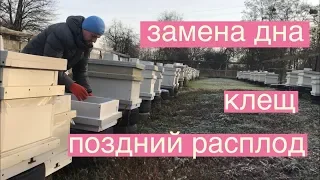 Ноябрь на пасеке