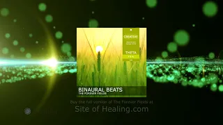 The Forever Fields (Theta) 4-8hz - BINAURAL BEATS