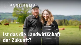 Panorama vom 23. Mai 2024