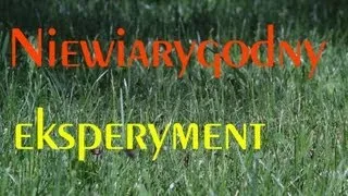 Niewiarygodne doświadczenie / Unbeliveable experiment [English subtitles]