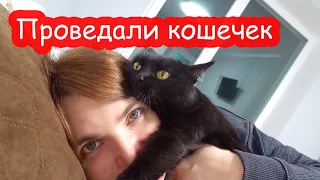 VLOG Проведали Настиных кошечек