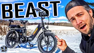 A Long Range Cargo eBike the Eats Dirt For Breakfast? | Tesway X5 Review