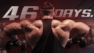 BEST SHOULDER WORKOUT IN WEEKS | 46 days out