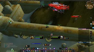 Shaman solo ZF GY one pull ~100k xp/h