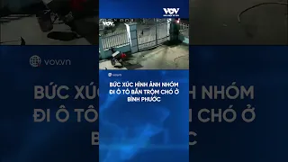 Bức xúc hình ảnh nhóm đi ô tô bắn trộm chó