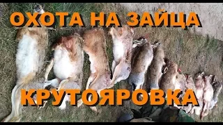 ОХОТА НА ЗАЙЦА. ЗАКРЫТИЕ. ОДЕССКАЯ ОБЛ БЕЛГОРОД -ДНЕСТРОВСКИЙ Р Н