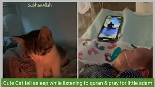 Cute Kitten Falls asleep listening to holy quran & pray for little kid Adam & for his parents #quran