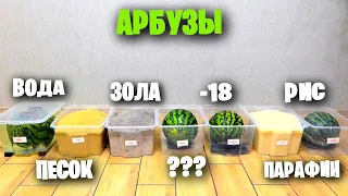 10 способов хранить АРБУЗ к НОВОМУ ГОДУ 🍉🎄