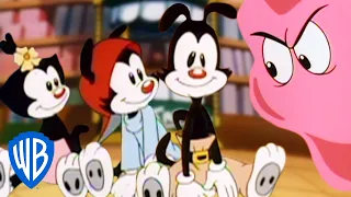 Animaniacs | The Warners’ Candy Store Adventure | Classic Cartoon | WB Kids