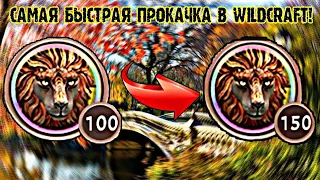 🐾WildCraft || 🌺Самый лучший способ прокачки! || 🔥Как прокачаться до 150 лвл за 2 дня?🔥