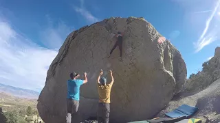 Sheila Sends Checkerboard V7 - Buttermilks, Bishop