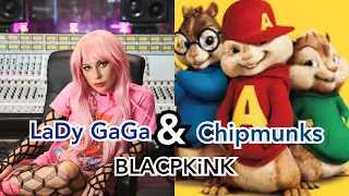 LADY GAGA - BLACKPINK AUDIO ( VERSION CHIPMUNKS)