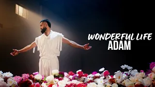 ADAM - Wonderful life  | Премьера песни (2024) #adam