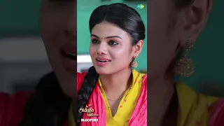 Anbe Vaa Serial | Bloopers - 48 (2) | Behind The Scenes | #shorts #youtubeshorts