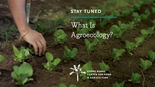 What Is Agroecology?