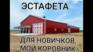 #ЭСТАФЕТА-ДЛЯ НОВИЧКОВ О КОРОВАХ# МОЙ КОРОВНИК, ПЛЮСЫ И МИНУСЫ#