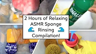 🌊🧽Requested! Over 2 Hours of Relaxing ASMR Sponge Rinsing Compilation!🧽🌊