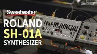 Roland SH-01A Synthesizer Module – Daniel Fisher