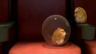 Rhino (Bolt Hamster) on High School Musical