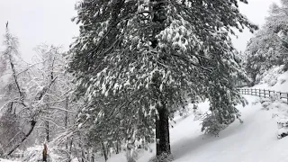 Lake Gregory Crestline, CA snow season