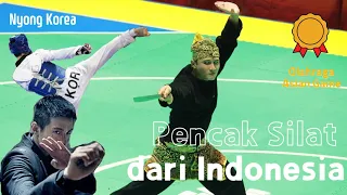 Pencak Silat? Seni bela diri yang sudah terkenal di Korea! Indonesia reaction_인도네시아 특공무술 쁜짝 실랏!