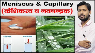 Meniscus | Capillary Fall and Rise | Angle of Contact | Cohesive & Adhesive  Force | Fluid Mechanism