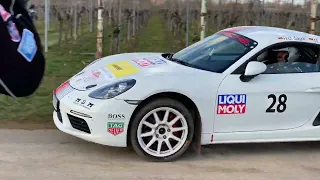 Rallye Südliche Weinstraße 26.02.2022