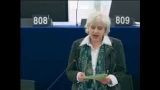 Debatte im Strasbourger Plenum zu den EU-Strukturfonds am 19.11.2013