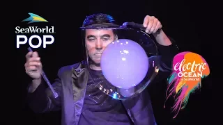 POP Full Show at SeaWorld Orlando - Bubble Show - Electric Ocean