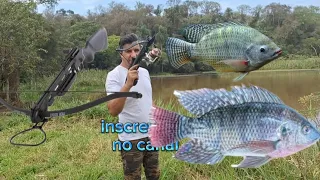 pesca com flecha, besta balestra, só as grandes  #pescador #fishing #pescaesportiva