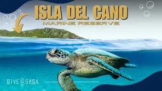 SCUBA Diving in CAÑO Island Costa Rica