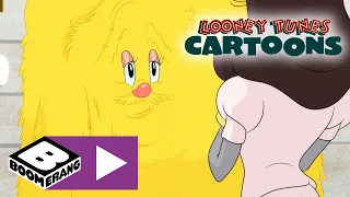 Looney Tunes Cartoons | Elmer's Big Date | Boomerang UK 🇬🇧