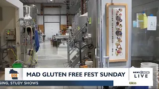 In the 608: The first Madison gluten free festival