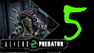 Aliens vs Predator 2 прохождение за Чужого 5: Месть