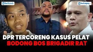 DPR Tercoreng Kasus Pelat Bodong Bos Brigadir RAT, MKD Gandeng Polisi Lakukan Penindakan 
