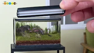 DIY Miniature Aquarium Fish Tank　ミニチュアアクアリウム水槽作り
