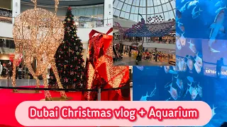 Dubai Hills Mall & Dubai Mall aquarium - must visit guys | Travel vlog | UAE