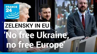 A free Europe cannot exist without a free Ukraine, Zelensky tells EU lawmakers • FRANCE 24 English