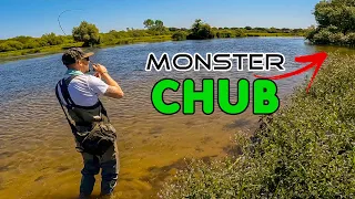 UK river lure fishing for CHUB | 64 cm BIGGEST chub of my life | TOPWATER chub fishing